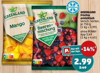 750g Greenland TK-Beerenmischung